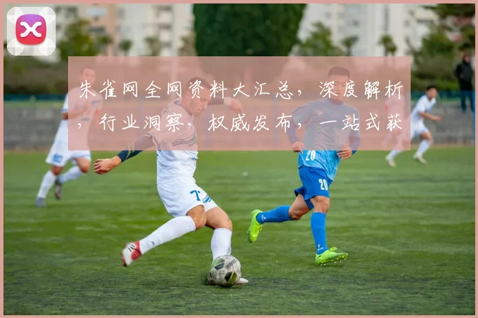 朱雀网全网资料大汇总，深度解析，行业洞察，权威发布，一站式获取