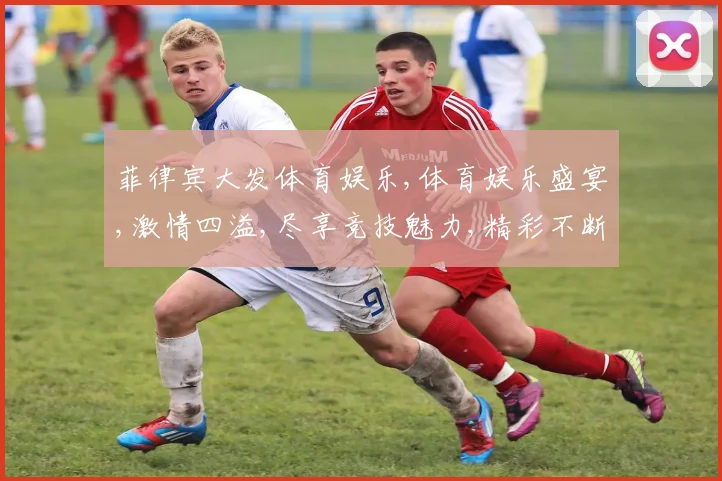 菲律宾大发体育娱乐,体育娱乐盛宴,激情四溢,尽享竞技魅力,精彩不断