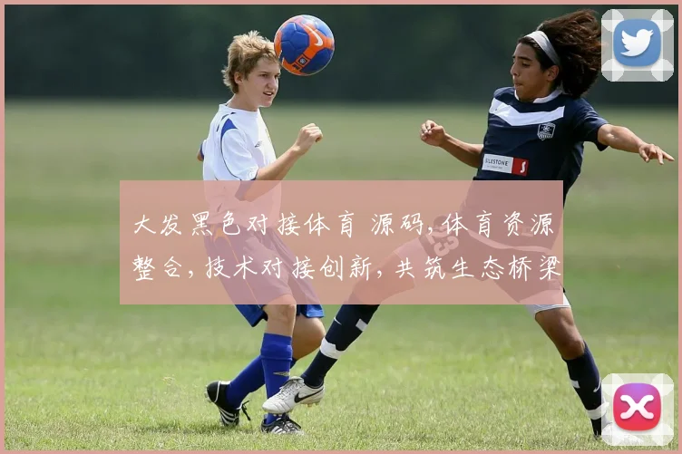 大发黑色对接体育 源码,体育资源整合,技术对接创新,共筑生态桥梁