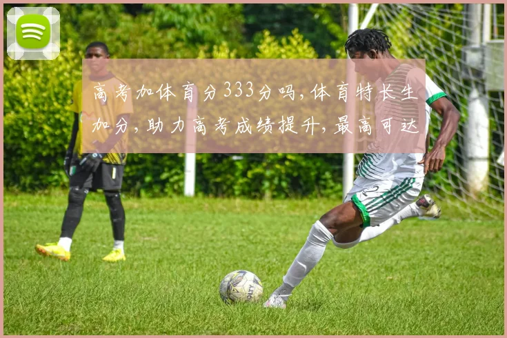 高考加体育分333分吗,体育特长生加分,助力高考成绩提升,最高可达333分,惊喜来袭
